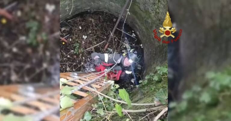 cane cade in un pozzo a genova
