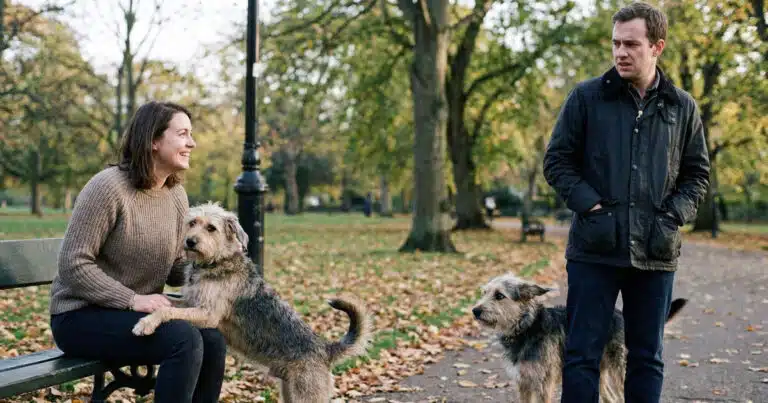 i cani sanno giudicare le persone?