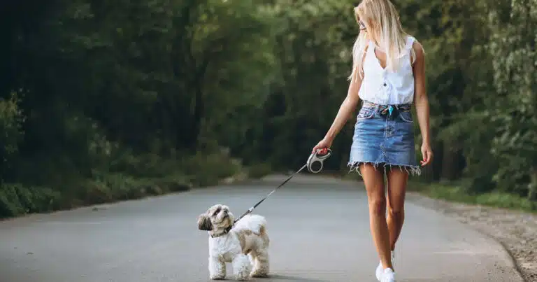 impatto ambientale dei cani