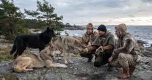 antichi resti di lupo su isola baltica