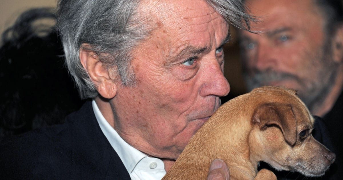 Alain Delon e i cani: un amore profondo