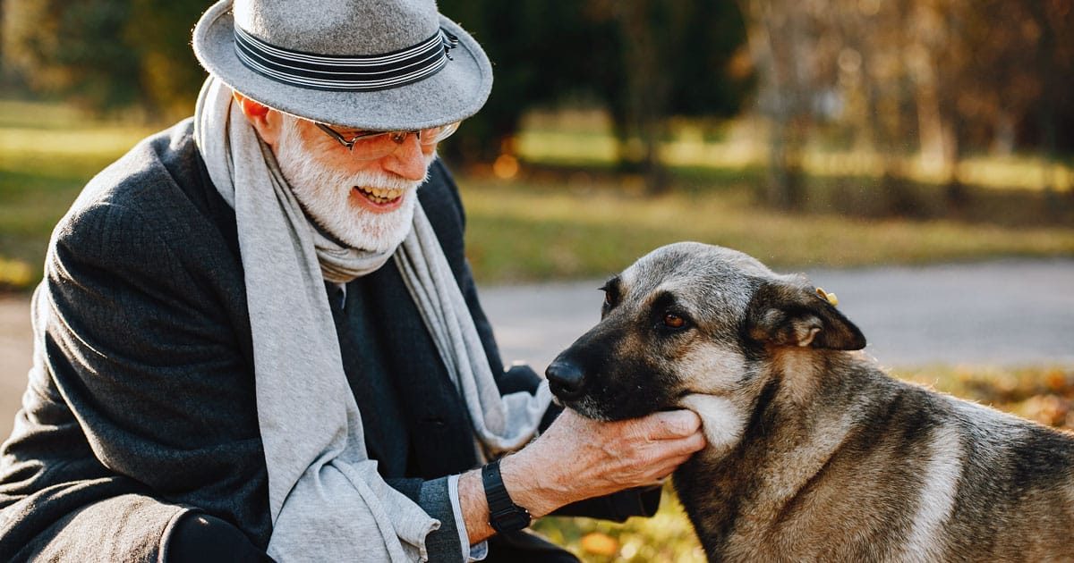 Allungare la vita al cane. loy-001 loyal