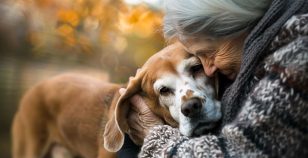 Vivere con un cane rallenta l'invecchiamento?