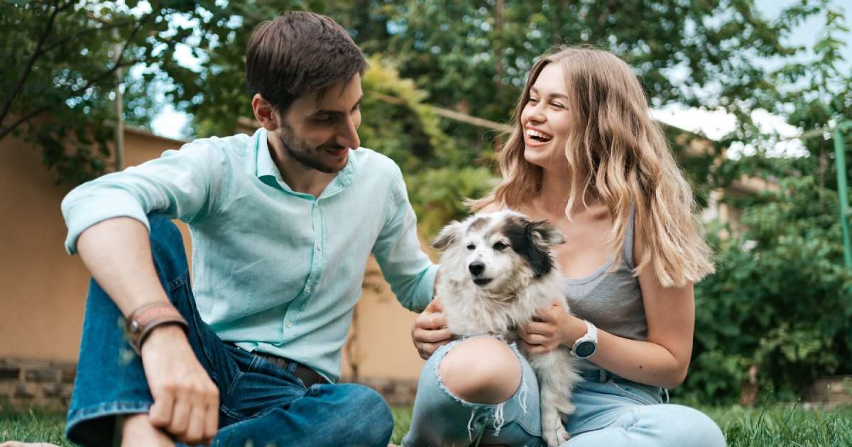 Cane meticcio: il Test DNA che determina la razza