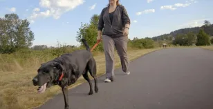 Un cane e la sua proprietaria imparano a camminare insieme dopo un brutto incidente