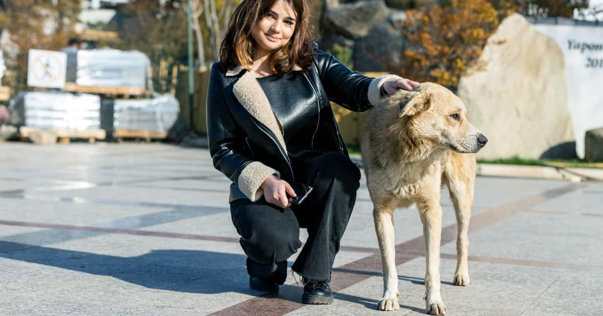 cani di quartiere a roma: approvata la mozione