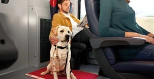 Viaggiare in treno col cane: le regole di Trenitalia