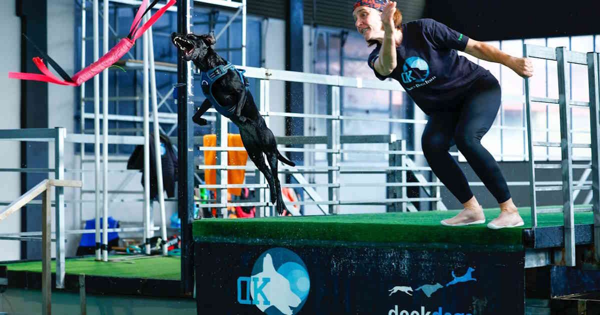 dockdogs