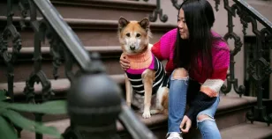 Cani: aumenta la richiesta di dogsitter a New York