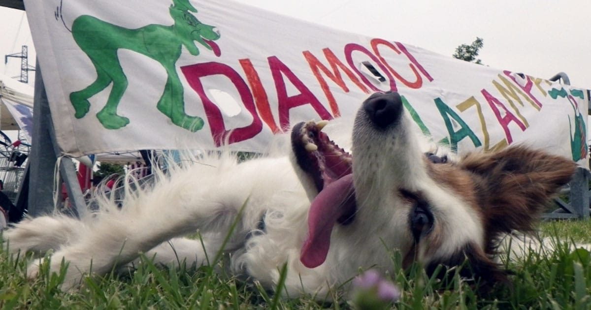 Milano capitale del cane simpatia