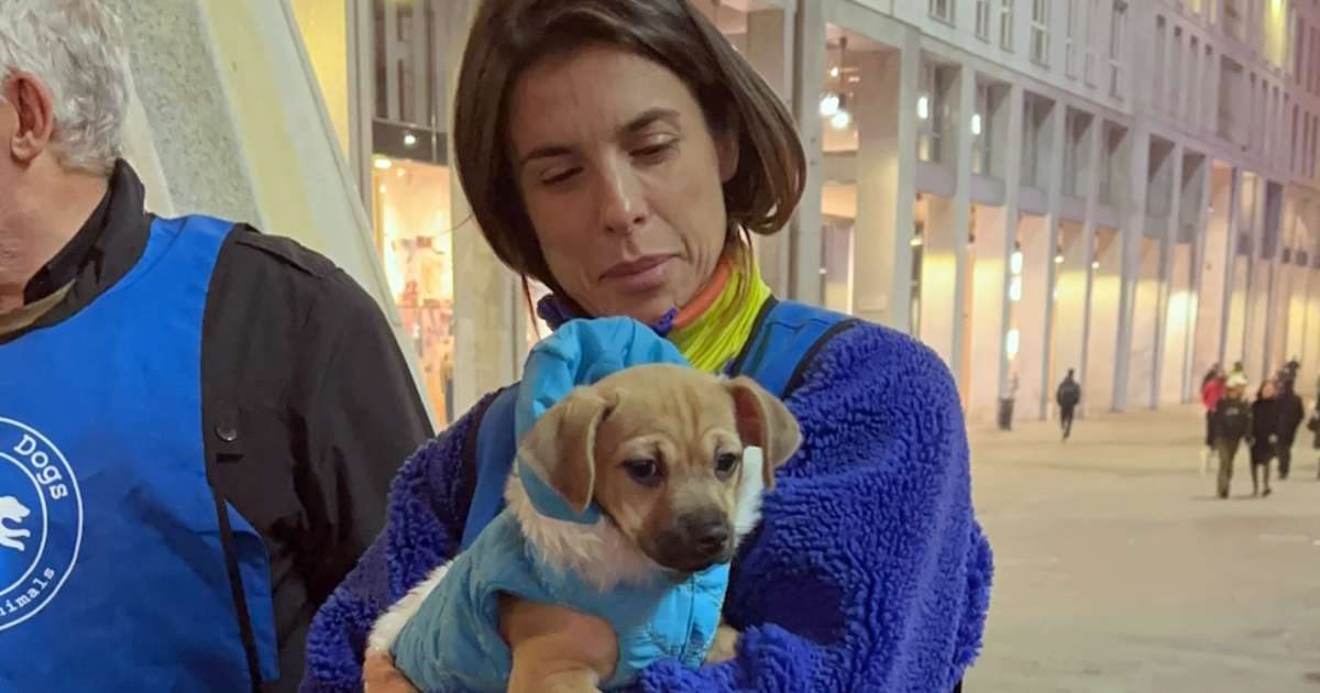 Elisabetta Canalis a Milano per i cani senza tetto