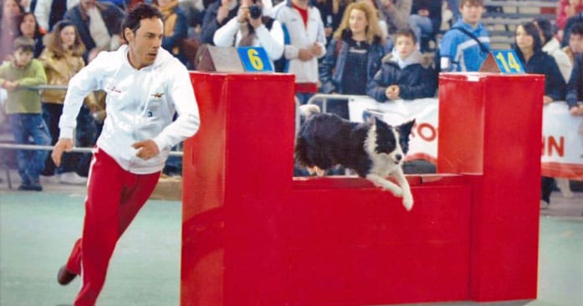 Cos'è l'Agility Dog? Intervista all'istruttore Francesco Boari