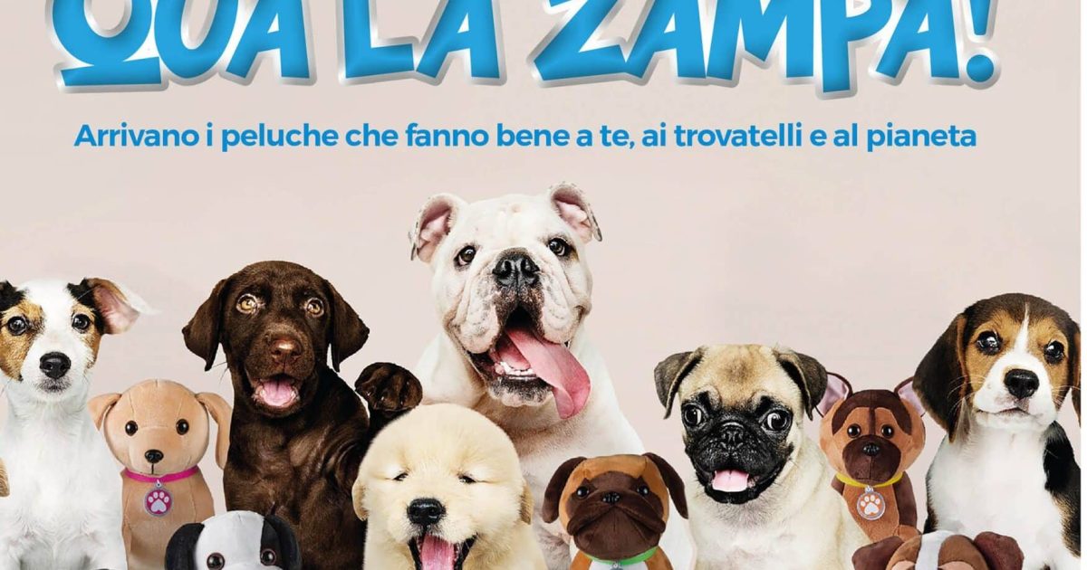 Qua la zampa: un peluche per un pasto ai cani nei rifugi Enpa