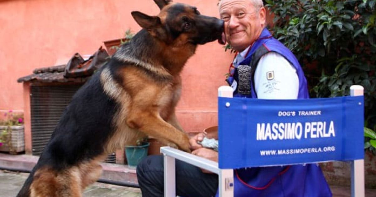 Cani attori: intervista a Massimo Perla, istruttore di Rex