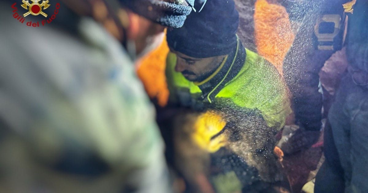 Salvataggio straordinario di un cane