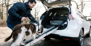 X-Trail 4dogs, concept Nissan prototipo per viaggiare col cane